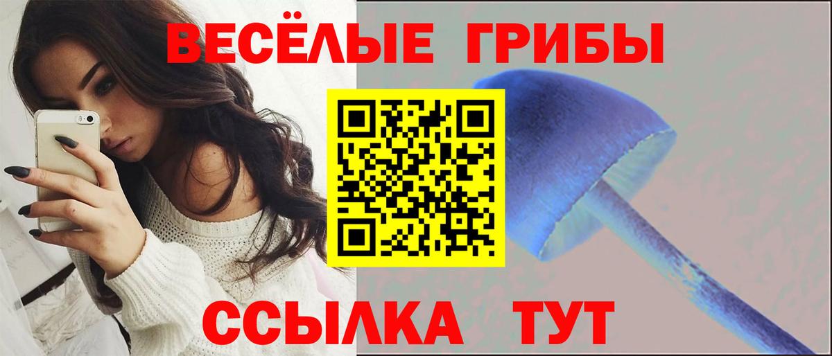 Псилоцибиновые грибы мухоморы Родники